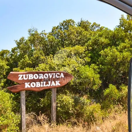 Dom wakacyjny House Mateo *